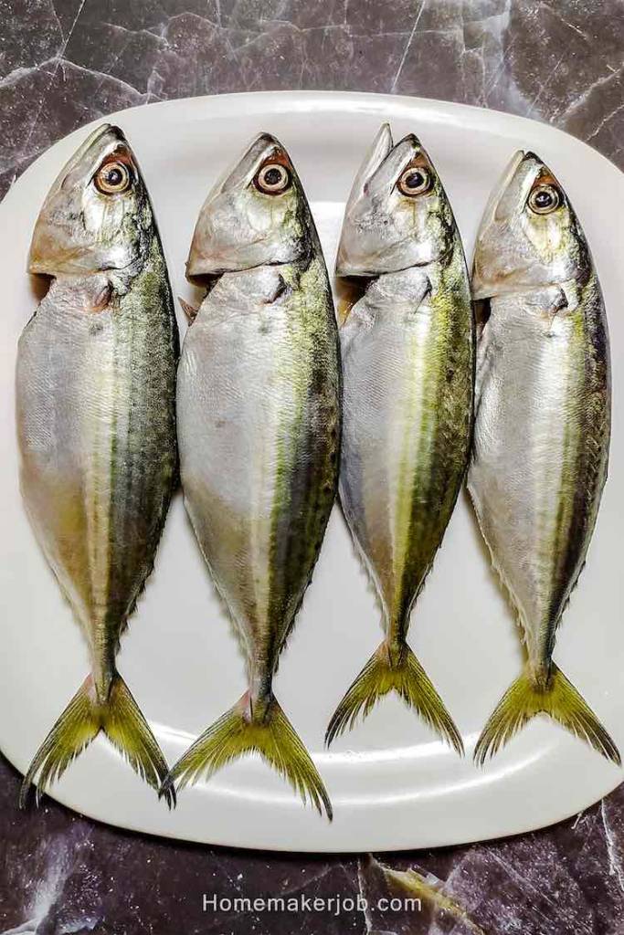 Four fresh bangda fish arranged vertically in a row in a white plate on table, as featured image for an article on bangda fish by homemakerjob.com