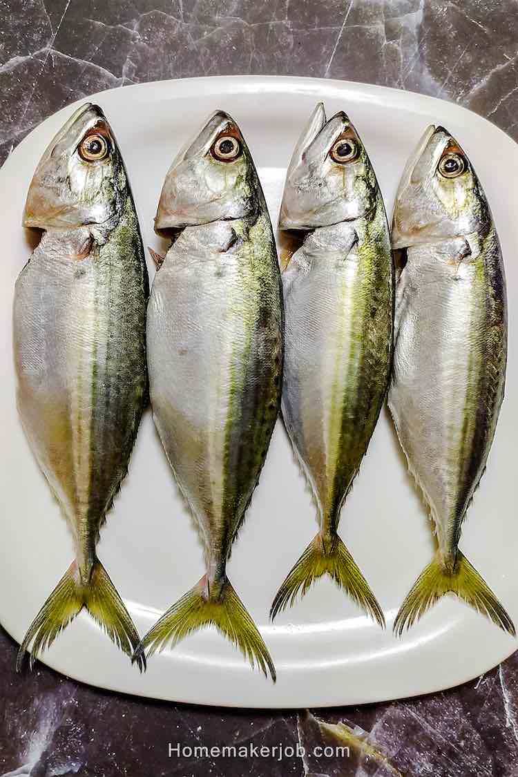Your Guide to Bangda Fish (Indian Mackerel) - homemakerjob.com